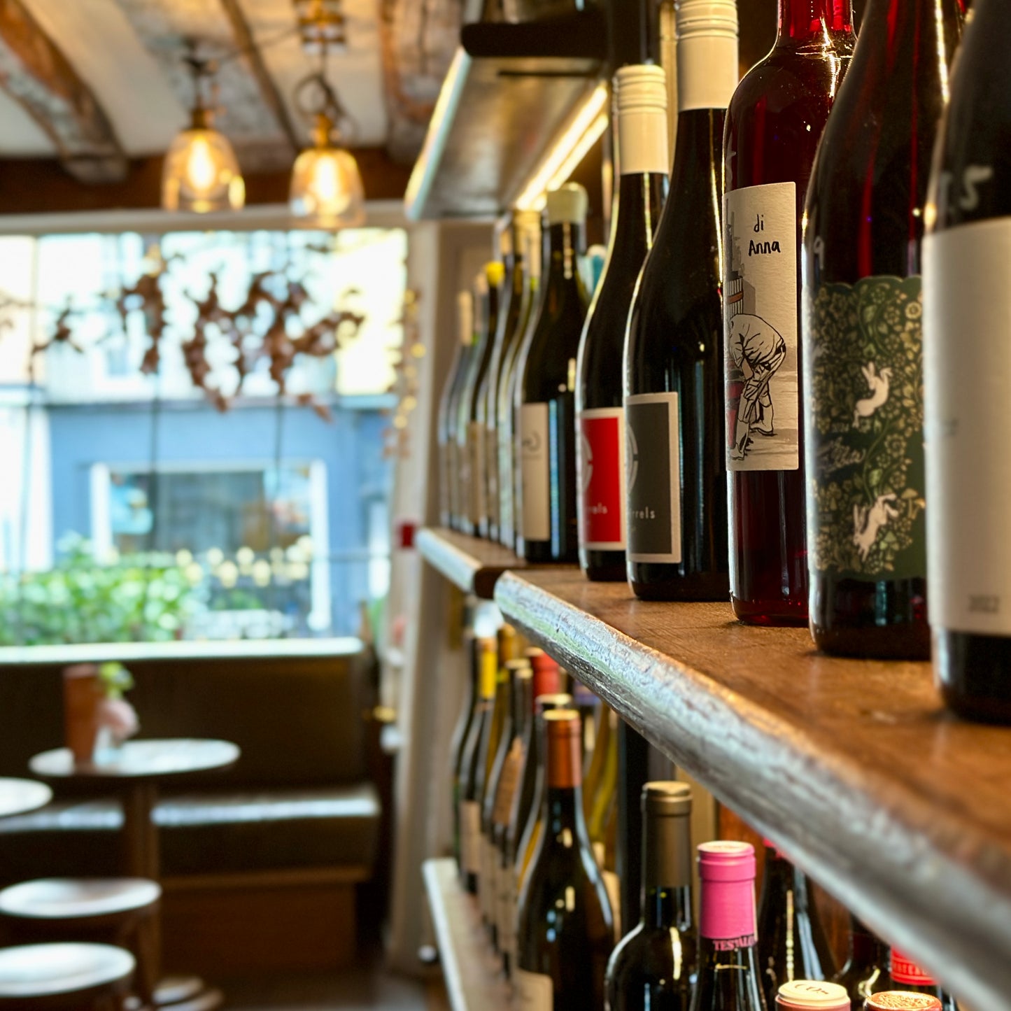 Shambles Christmas Wine Tasting