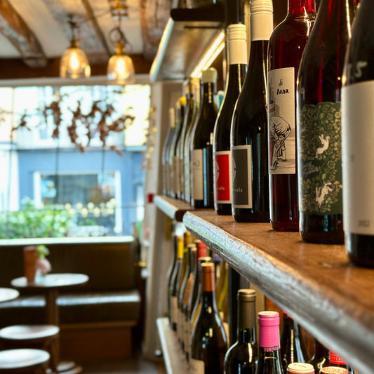 Shambles Christmas Wine Tasting